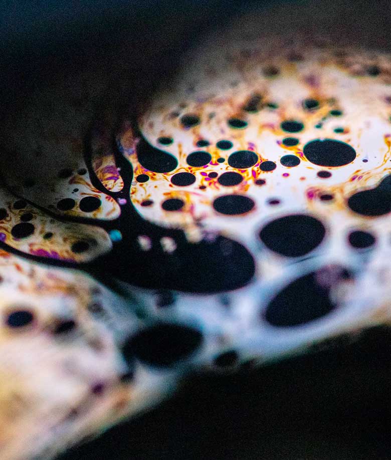 industry2-press-pic6