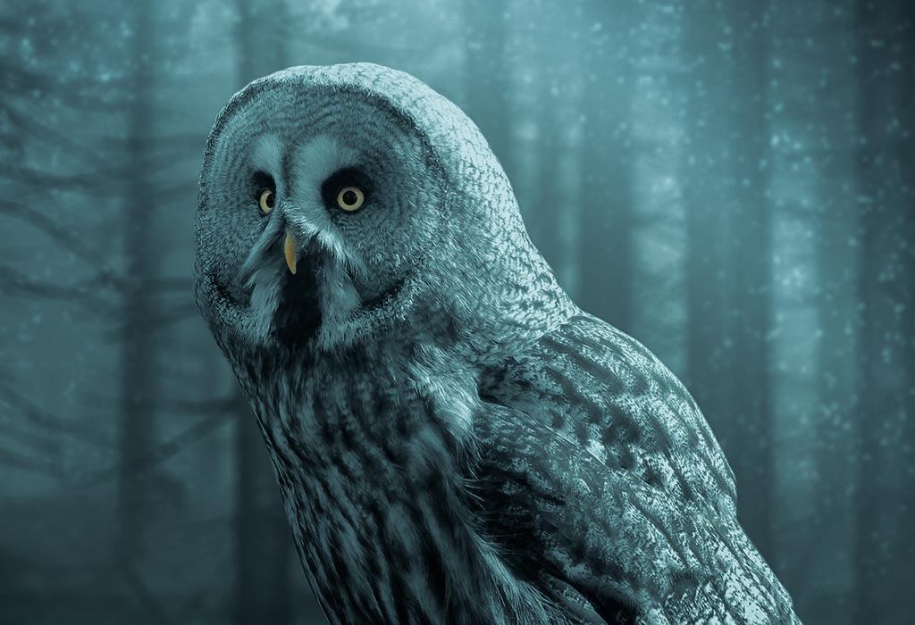 photography3-details-pic5